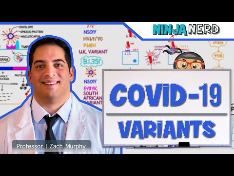 COVID 19 Coronavirus Epidemiology Pathophysiology Diagnostics