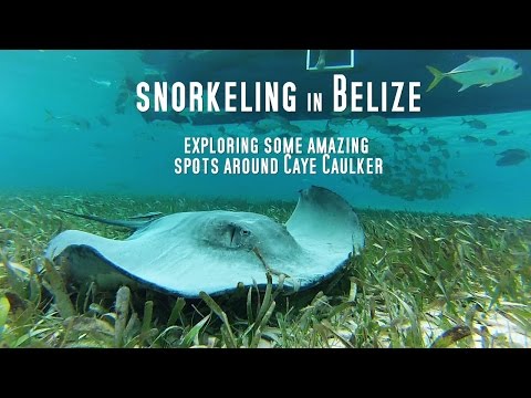 Schnorcheln Belize