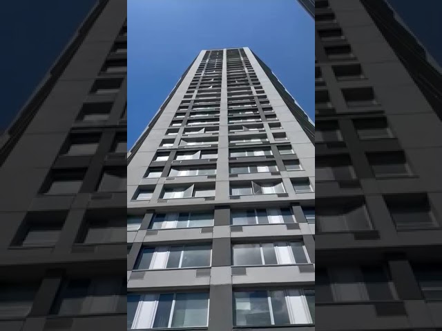 Preview image: Video 10