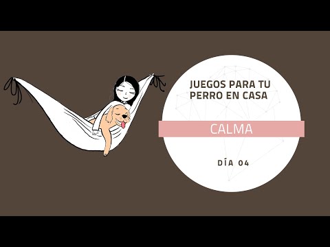 Juegos para tu perro en casa: día 4 | la calma