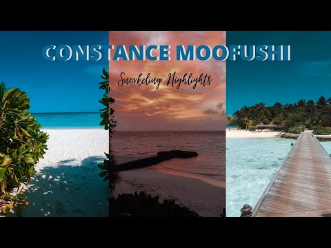 Videos del Constance Moofushi 5★ en Himandhoo, MaldivasVer MásVerPrecios18CerrarConsulta por Whatsapp 🇦🇷BookingTripadvisorExpediaAgodaTravelocityOrbitzPricelineTripSkyscannerDespegarKayakHotelesDestiniaTrivagoTurismocityLastminuteTuiWotif