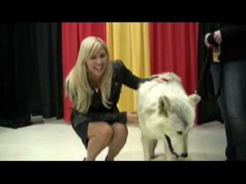 Forest and Amy at Big Boy Toy Show 2010