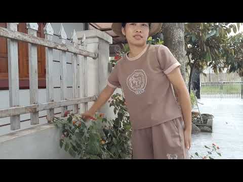 "How to Make the Most of a Rainy Summer Day"