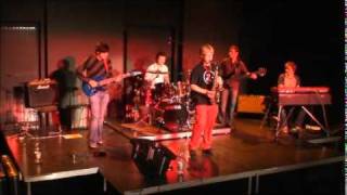 Fresh Ducks - Funky Pillow