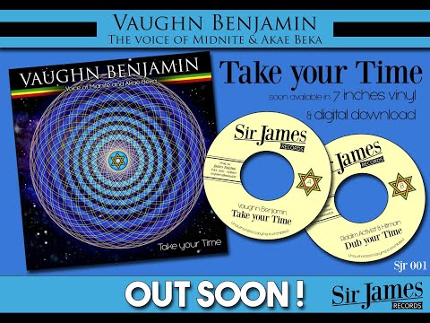 Vaughn Benjamin - Take Your Time - 2021 New Release Teaser (Voice of Midnite and Akae Beka)
