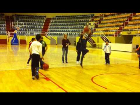 PFS - Port of Antwerp Giants