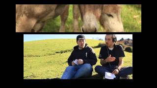 13 Palabras - Todo se mueve ( live )