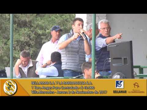 02-11-17 Venta de Toros Angus P.C. - Bellamar S.A. y La Barrancosa S.A. - Villa Mercedes