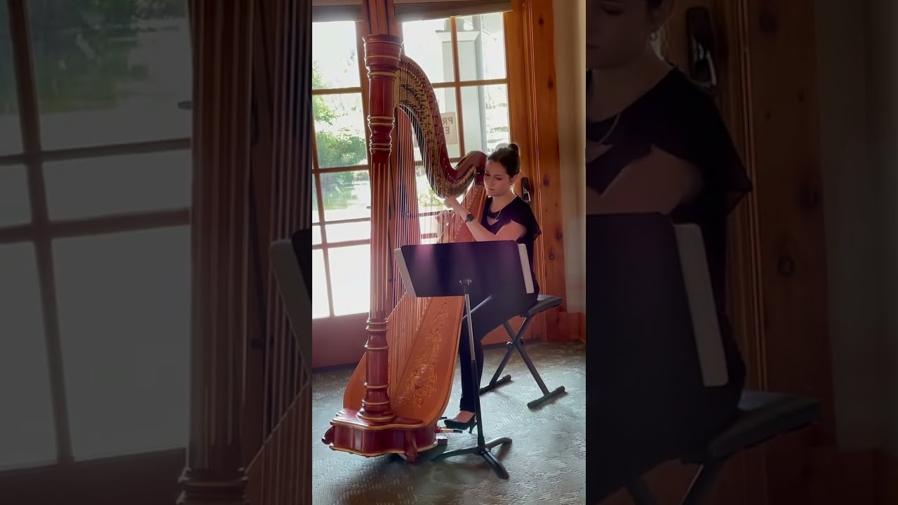 Promotional video thumbnail 2 for Where The Harp Is