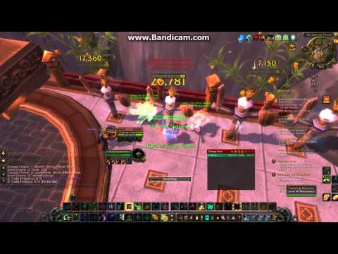 WoW Basic Guide- Earth Storm & Fire Monk Ability!