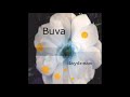 Buva - She Makes Me Fall Down