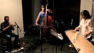 Trio: James Ilgenfritz / Miya Masaoka / Thomas Heberer