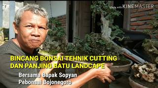 preview picture of video 'BINCANG BONSAI TEHNIK CUTTING DAN BONSAI PANJING BATU BERSAMA BAPAK SOPYAN PEBONSAI BOJONEGORO'