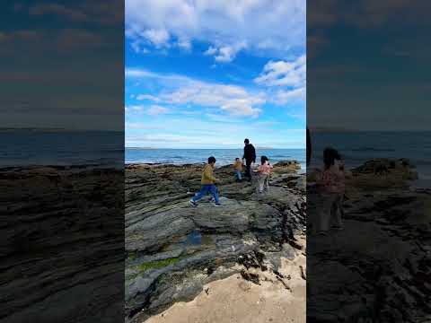 Kids read poem ‘The Beach’ by Srijoni Chakraborty #poem #shorts #malahide #beach #kidstravelvlog