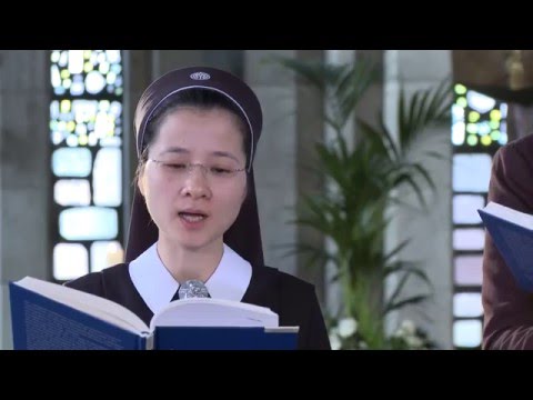 Die Antwortpsalmen - Palmsonntag Lesejahr C