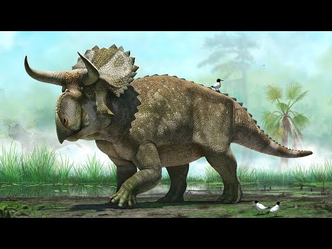 Nasutoceratops: A Longhorned Dinosaur From The American Southwest
