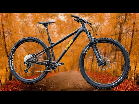 I was CALLED OUT, so I went back to a budget mountain bike
