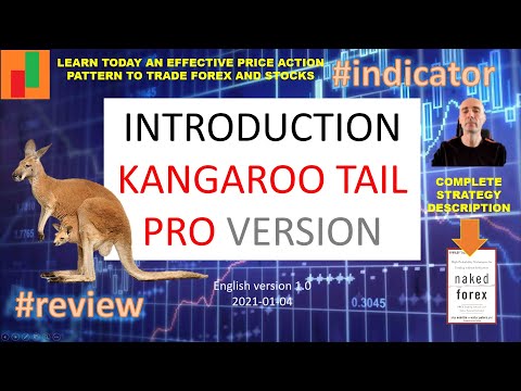 Video Naked Forex Kangaroo Tail indicator for MT5