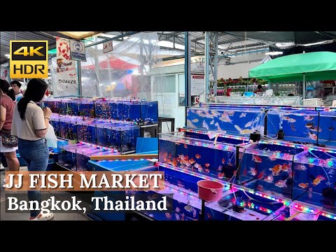 [BANGKOK] Chatuchak Fish Market "Largest Fish Market In Bangkok!" | Thailand [4K HDR Walking Tour]