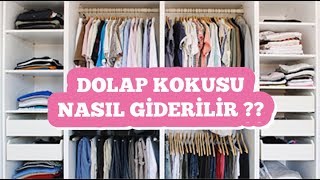 DOLAP KOKUSU NASIL GİDERİLİR? DOLAPLARINIZ MİS GİBİ KOKSUN