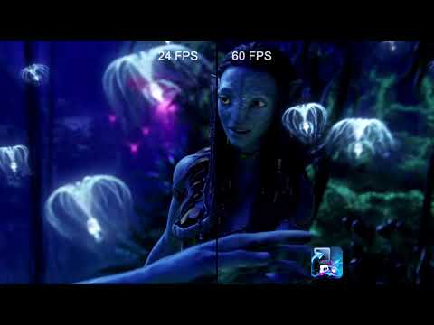 Avatar 24 vs 60 fps Demo