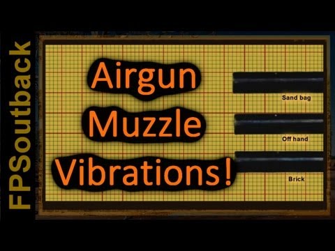 Shooting Rests Influence on Muzzle Vibration in Airguns