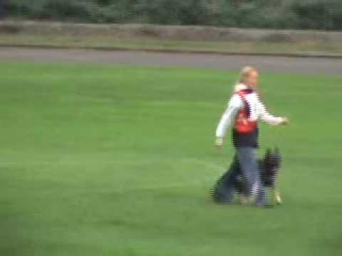 :: AZA Silvania Chov :: B