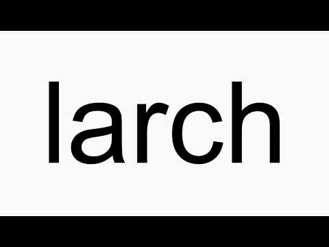 How to pronounce larch