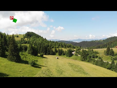 Közel-kép - Medveles-túra Erdélyben 2.rész