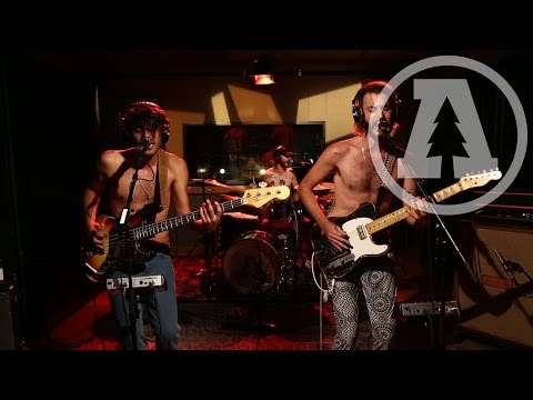 Sexy Zebras on Audiotree Live (Full Session)