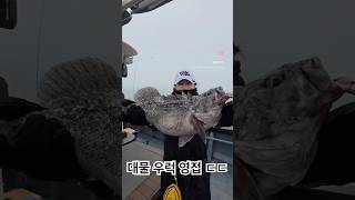 난리 난 역대급 우럭 비주얼 #낚시 #정자매#개우럭
