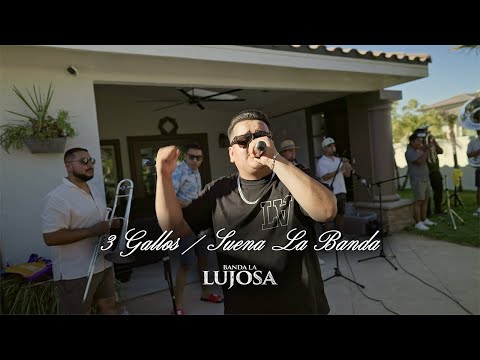 3 GALLOS / SUENA LA BANDA | Banda La Lujosa (En Vivo)