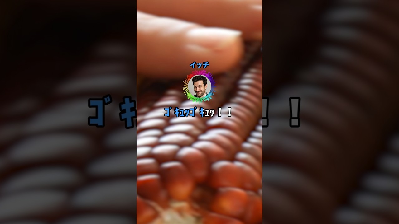 酒飲むか〜 #shorts