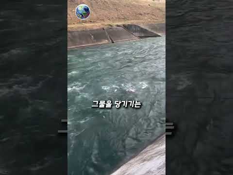 강물 흐름이 너무 빨라 위험해 보이는데 결과는? #투망낚시 #신기한영상 #trending