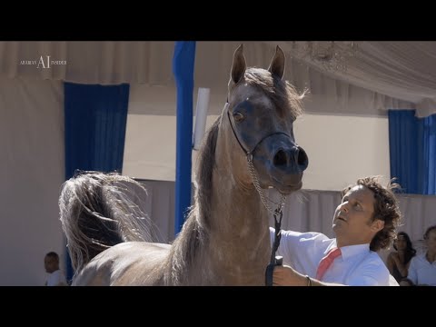 💥 Brianne Alfabia 💥 Junior Fillies Contender, 2022 MENTON