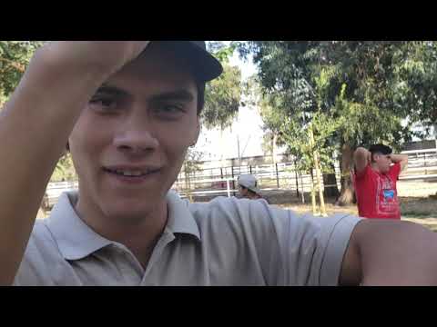 ZINNER VS EFFORT VS ESSENNE: Octavos - Venecia Battles Primera Fecha