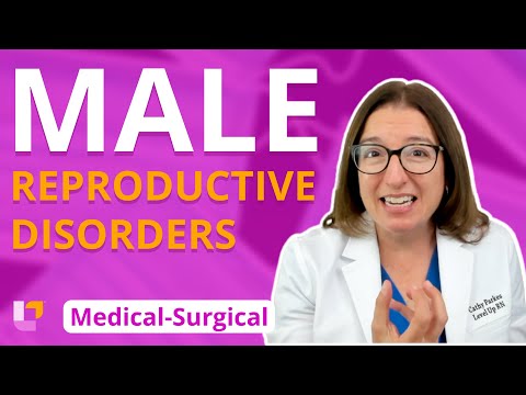 Male Reproductive Disorders - Medical Surgical @ LevelUpRN