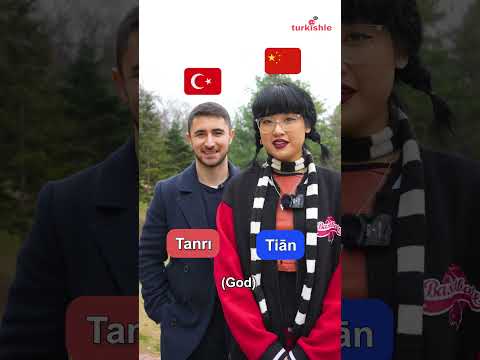 🇨🇳 Chinese vs Turkish 🇹🇷
