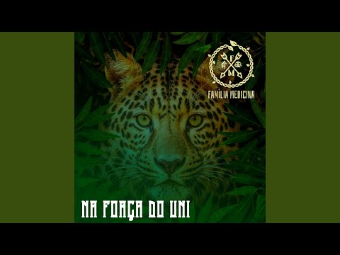 A cura da Jibóia Branca - (Tradição)