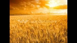 Mark Tale - Yellow Sky (Original Mix)