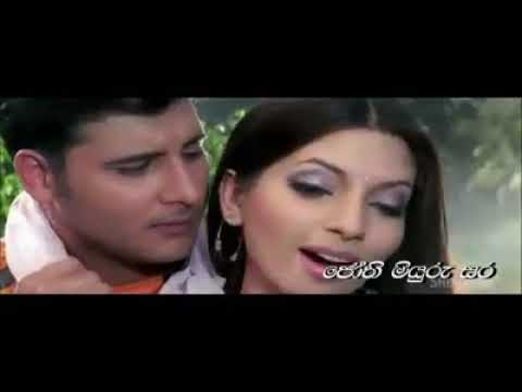 hada  sal  gase  හද  සල්  ගසේ