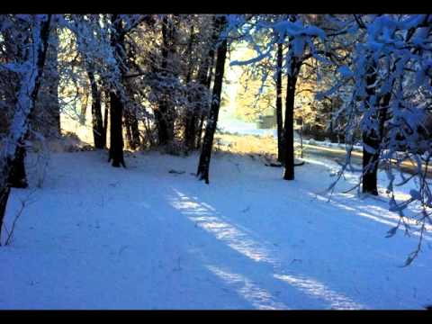 OLLI at UAH | 2014 Photo Contest:  Nature in Alabama