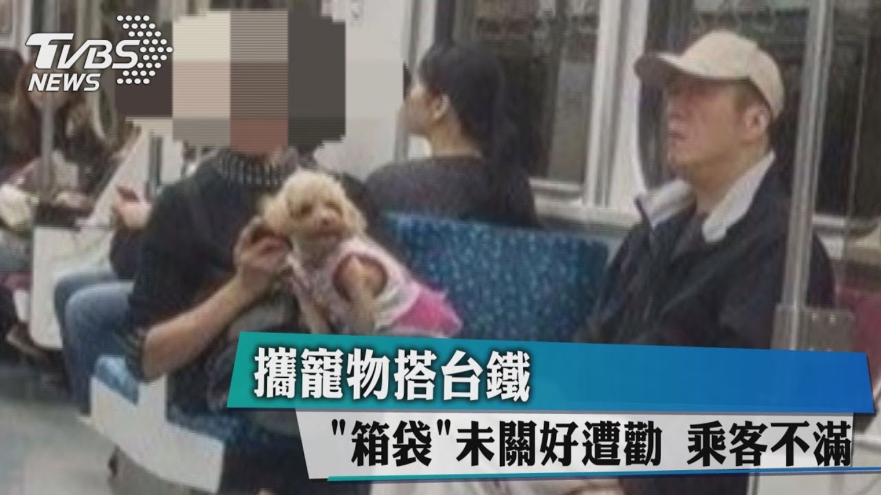 攜寵物搭台鐵!「箱袋」未關好 遭勸乘客不滿