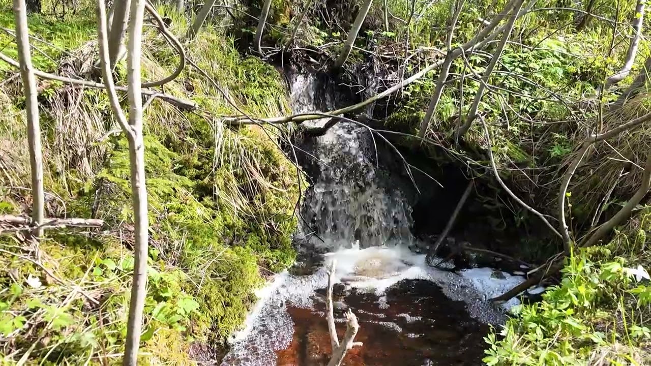 Gård med skogsbruk på Sundsvall Sidsjö 2:4 Sundsvalls kommun - video