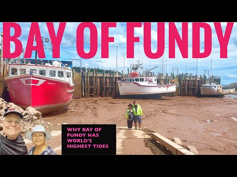 BAY OF FUNDY / HOPEWELL ROCKS / FUNDY NATIONAL PARK / FUNDY TRAIL PARKWAY / ALMA / ST JOHN / MONCTON