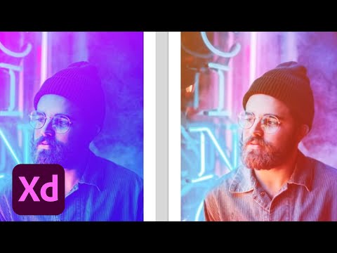 Adobe XD Daily Creative Challenge - Multiapp Workflow | Adobe Creative Cloud
