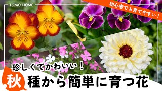 The process of growing a large number of seedlings from seeds, letting them bloom, harvesting the...