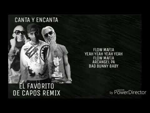ARCANGEL X BAD BUNNY X FLOW MAFIA - El Favorito De Los Capos