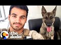 Army Vet Adopts Both Of His Bomb Sniffing Dogs The Dodo