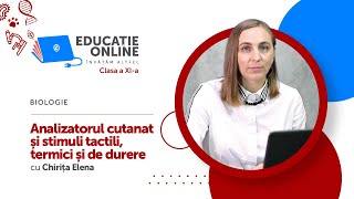 Analizatorul cutanat și stimuli tactili, termici și de durere